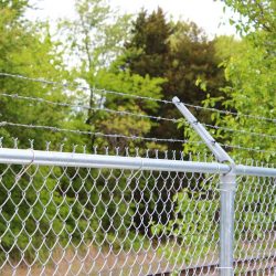 Chain Link Fence