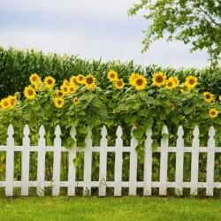White Picket Fencing by Guardian Fence
